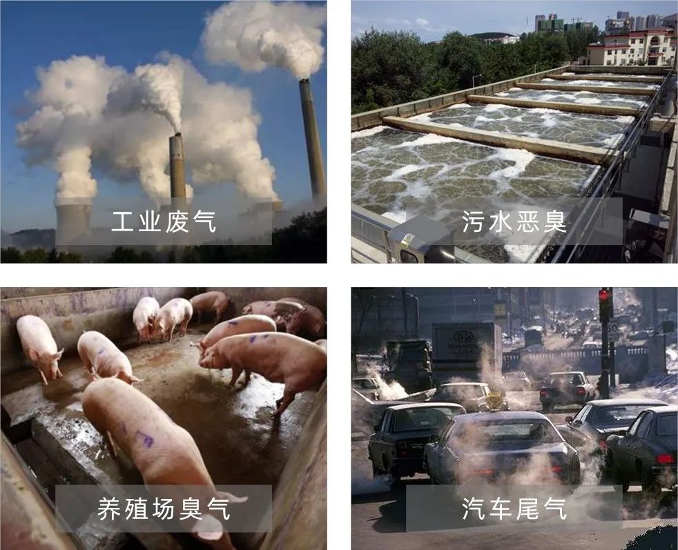 Dejing的凈工業(yè)除臭劑——解決臭味困擾的源頭！.jpg
