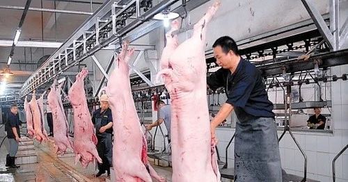 屠宰場臭氣影響周邊環(huán)境？解決辦法在這里.jpg
